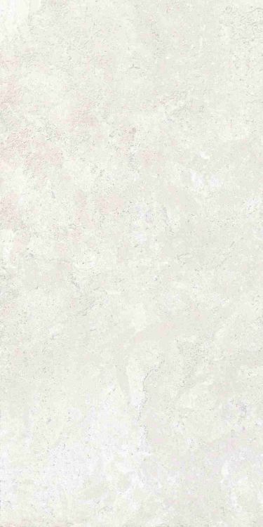 Petra Viva Bone Matte 12 x 24